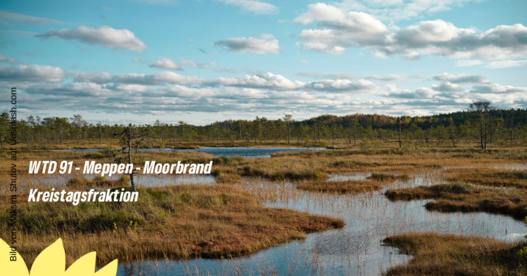 WTD 91 – Meppen