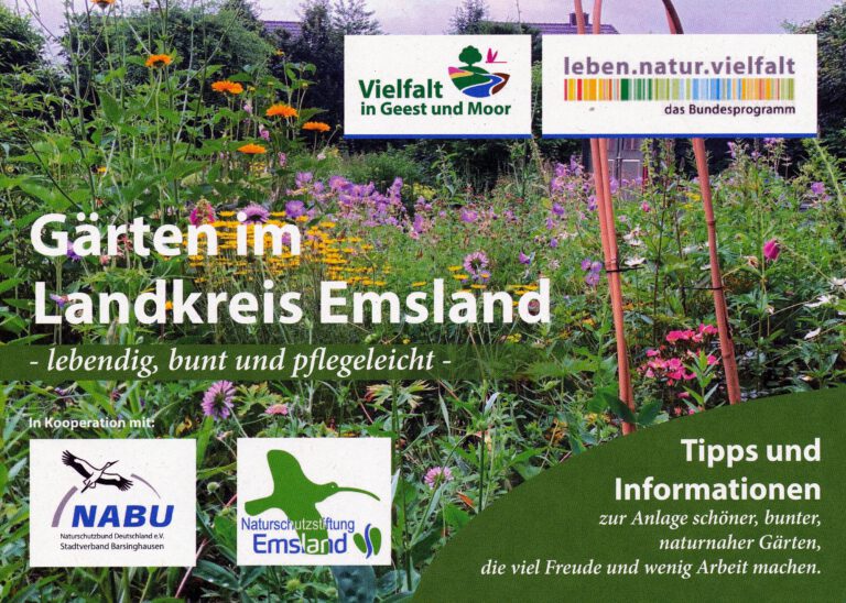 Die Alternative zu Schottergärten